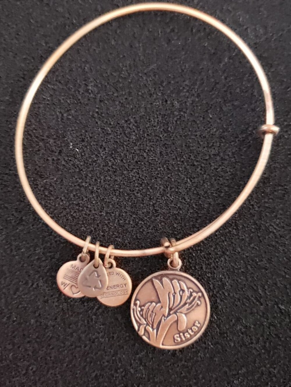 Alex and Ani Sister Copper / Gold Charm Bracelet Bangle 40